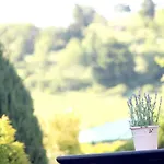 Harry's * Willingen (Upland)