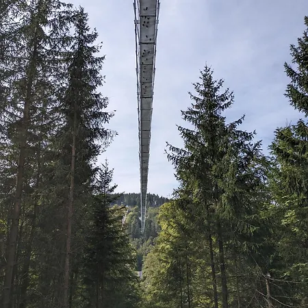 Harry's * Willingen (Upland)